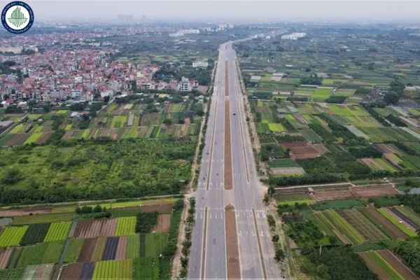 Đường Đàm Viết Tân bắt đầu và kết thúc tại đâu?