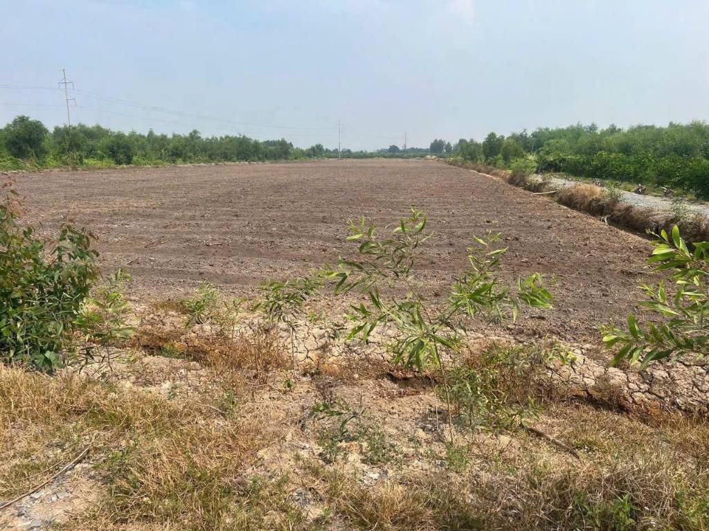 1,4ha đất vườn ven sông xã Bình Đức, huyện Bến Lức giá 10,9 tỷ