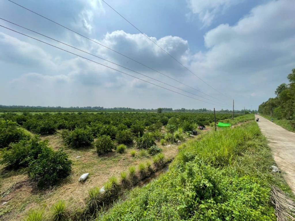 17200m2 đất vườn xã Tân Hòa, Bến Lức , Long An